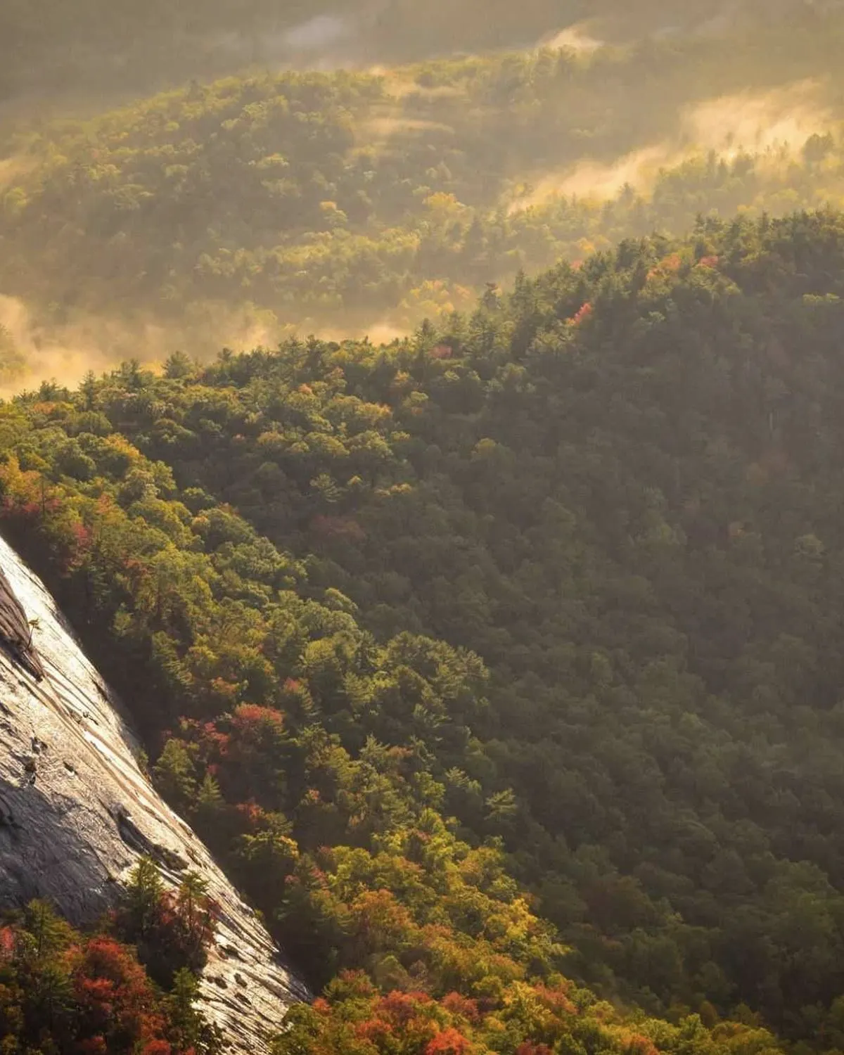 Green valley framed by cliffs