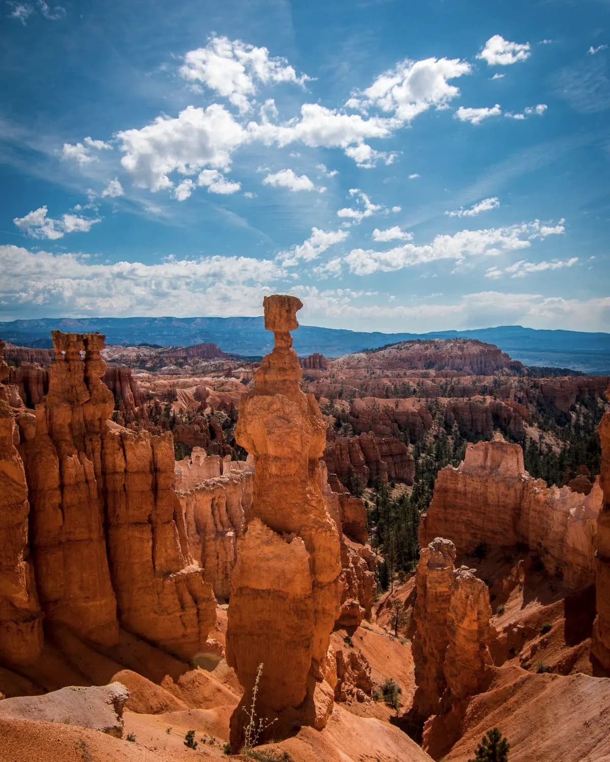 Red rock spires under a blue sky